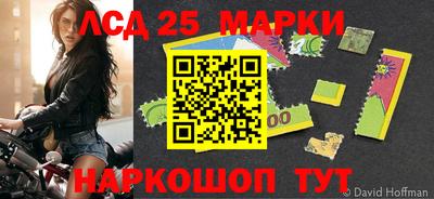 spice Можга