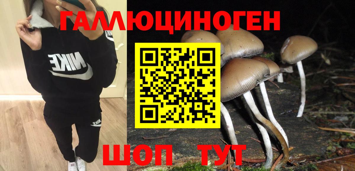Владимир  Галлюциногенные грибы мицелий  Галлюциногенные грибы MAGIC MUSHROOMS  Вход с VPN 