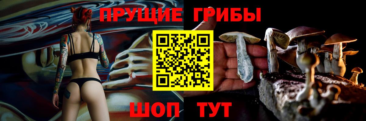 Псилоцибиновые грибы Cubensis Владимир
