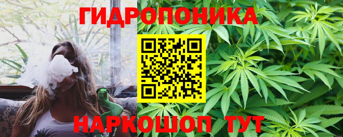 Бошки марихуана ГИДРОПОН Владимир
